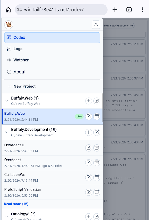 Project list on phone over private tailnet access
